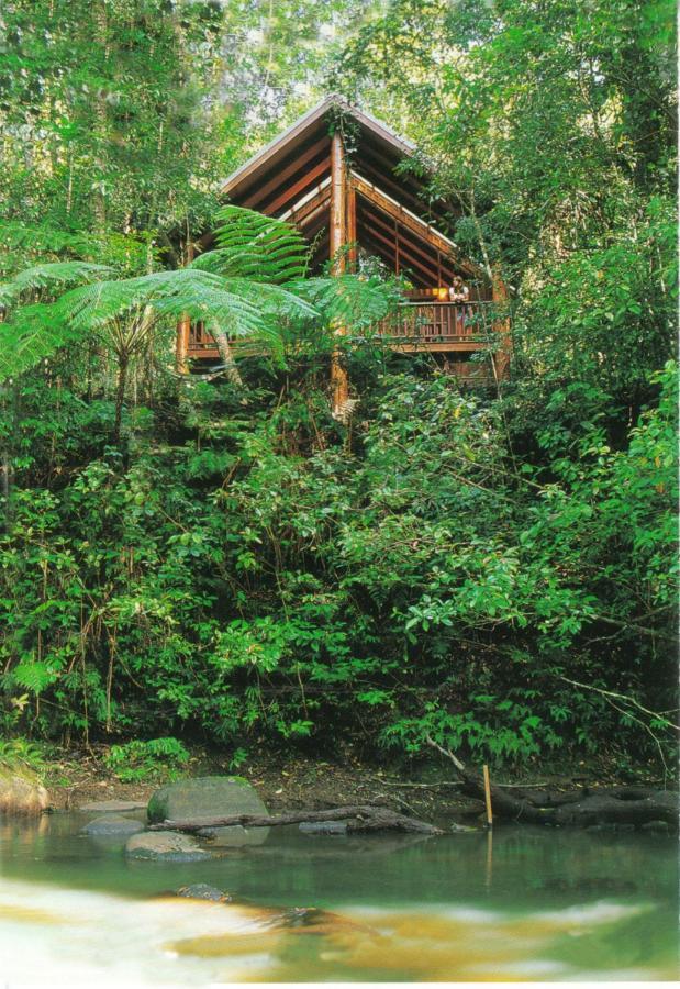 The Canopy Rainforest Treehouses & Wildlife Sanctuary Tarzali Dış mekan fotoğraf