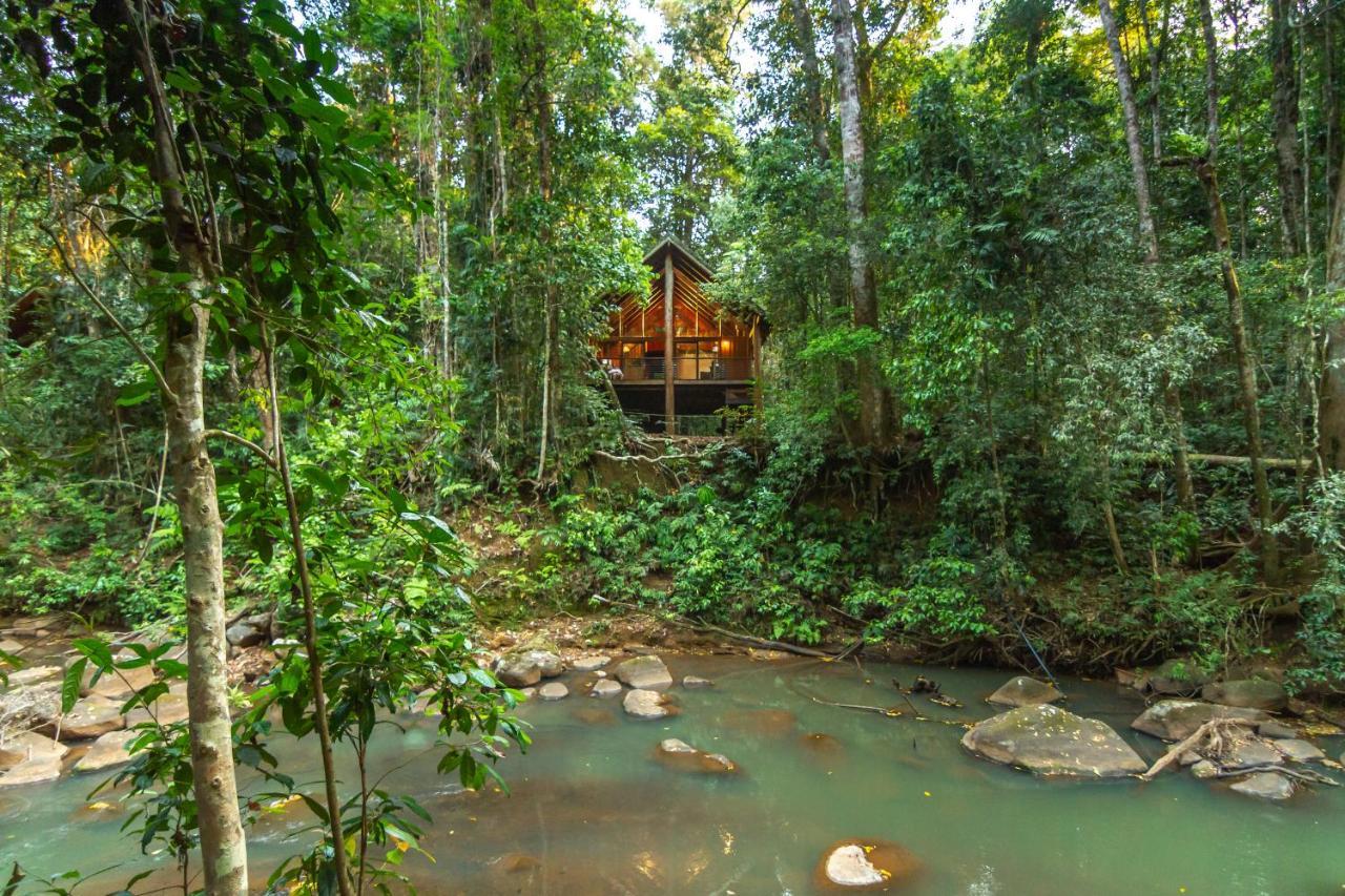 The Canopy Rainforest Treehouses & Wildlife Sanctuary Tarzali Dış mekan fotoğraf